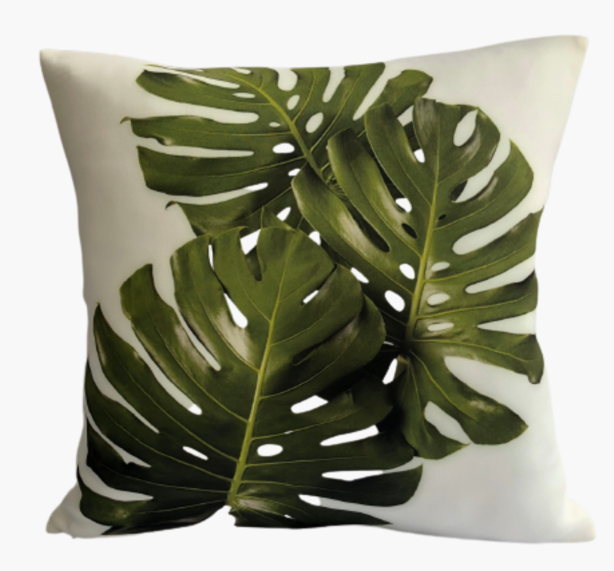 Monstera pillow best sale