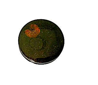 Lacquered Round Black Trinket Box featuring Summer Flowers