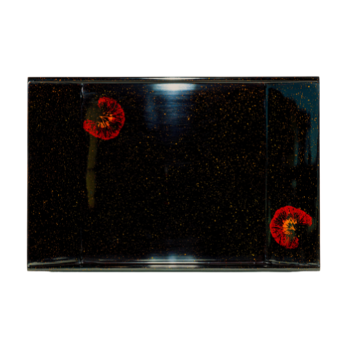 Lacquerware Oblong Tray - choose your colour and design