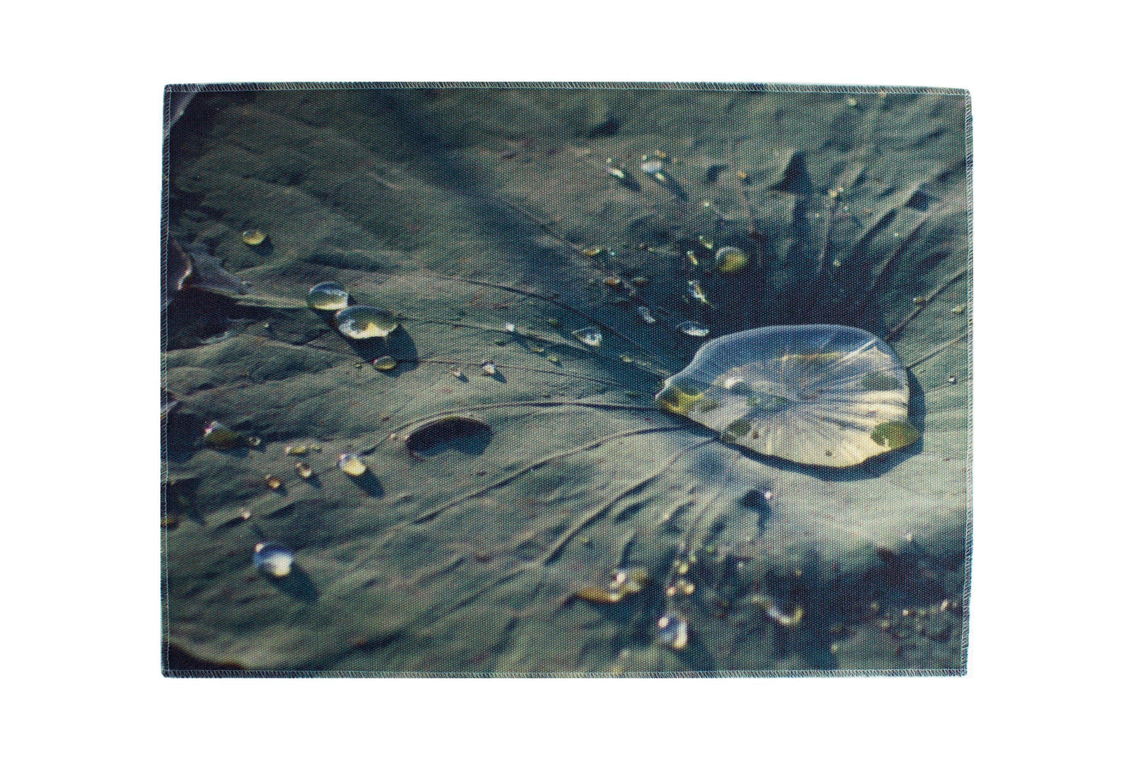 Lotus Leaf Water Resistant Placemats - Set of 4-CUSHnART-Temples and Markets