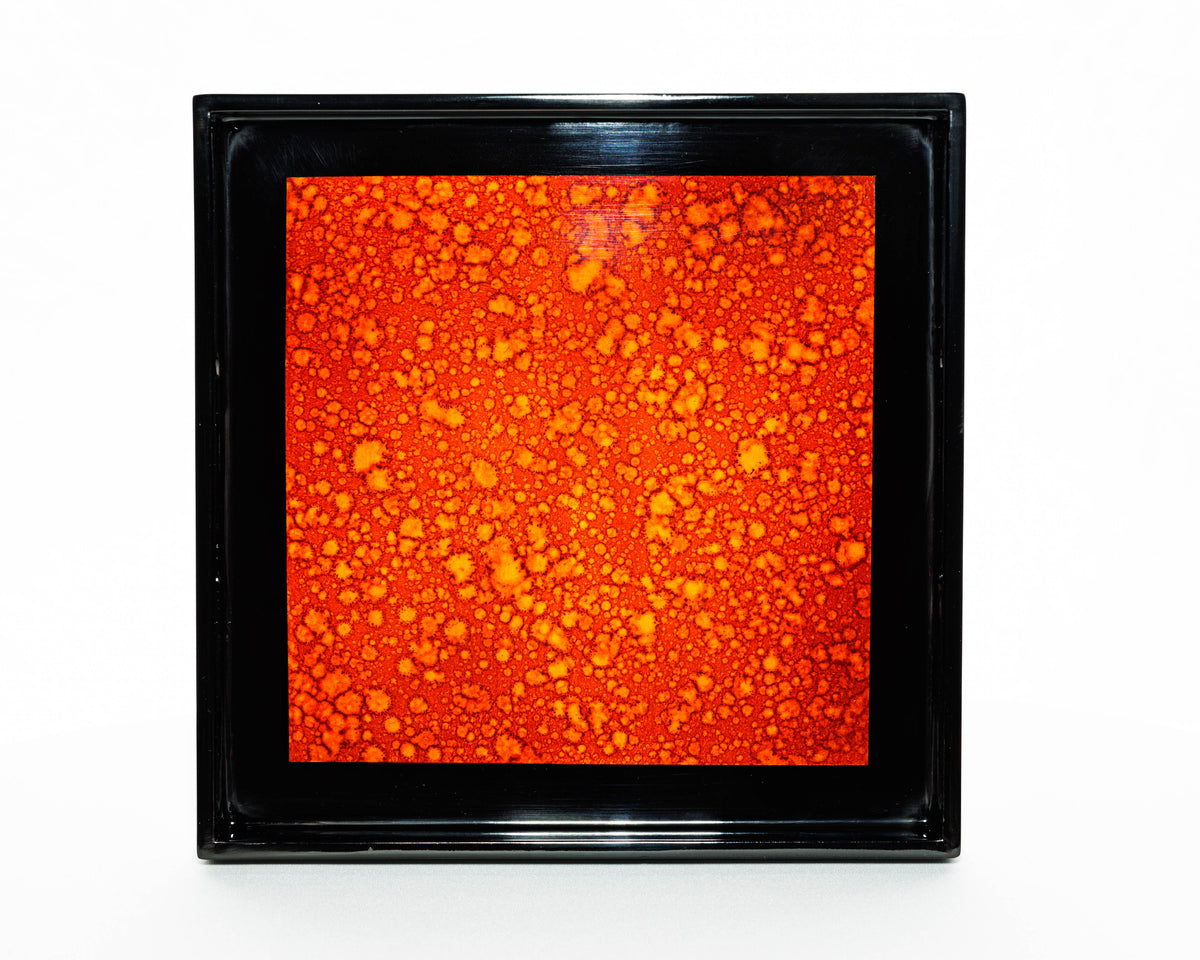 Lacquerware Square Tray with Handles - choose your colour