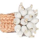 Stunner Statement Ring handcrafted from natural seeds-Graines de Cambodge-Temples and Markets